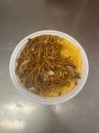 Best Roast Pork Lo Mein (Lunch)叉烧捞面 in Drexel Hill, PA